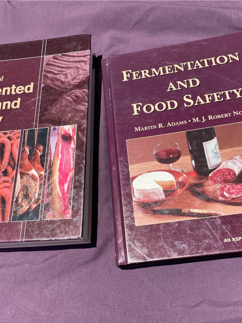 Fermentation and Food Safety - Purple Hardcover Textbook Blackwell